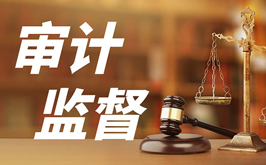 某省成立地方金融審計(jì)局和國有企業(yè)審計(jì)局 加強(qiáng)穿透式審計(jì)監(jiān)督