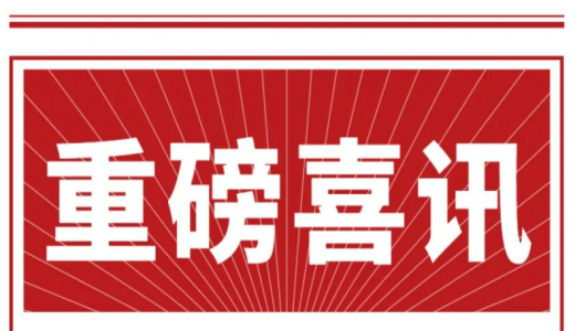 喜訊丨城望集團(tuán)總經(jīng)理王廣慶先生再次獲聘臨邑縣政府投融資體制改革咨詢服務(wù)顧問！