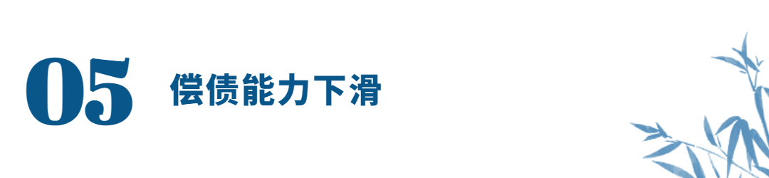 城投融資系列標(biāo)題 (4)