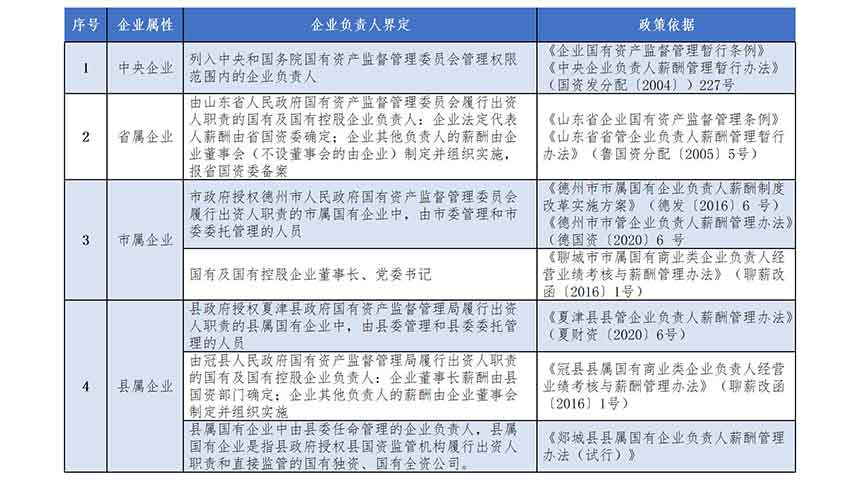 表1-1  從政策看國有企業(yè)負(fù)責(zé)人范疇（以山東省為例）